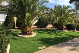 synthetic turf, tree in garden bed
