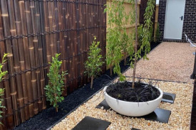 landscaping pebbles pavers tree